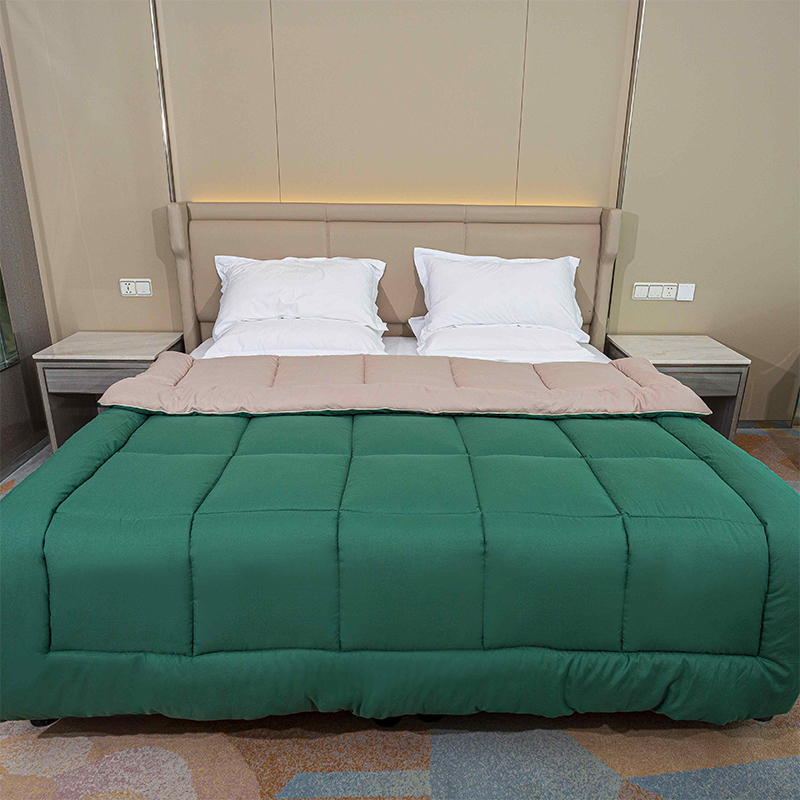 Green Reversible Polyester Polyester Ludi Lorem magnitudine Quilted Mollis Omnia Season lectum Duvet Insert