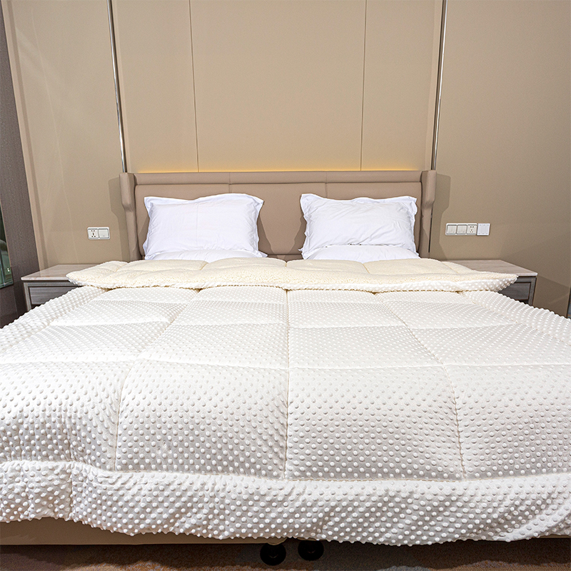 Minky Dots Agnus Volam consolator, duplex fabricae super mollis calidum Duvet helby calidum calidum hydriam hydriam deliciae CRINITUS Web